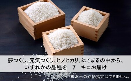 AG181.【期間限定】立花山で育てた九州のブランド米・7キロ