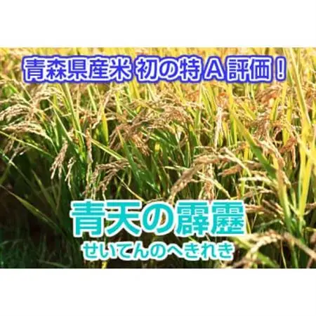 青森県産 青天の霹靂 精米済み 5kg【配送不可地域：離島・沖縄県】【1657761】