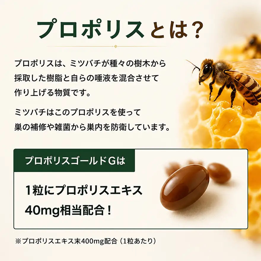 プロポリスゴールド12本セット 加工食品 