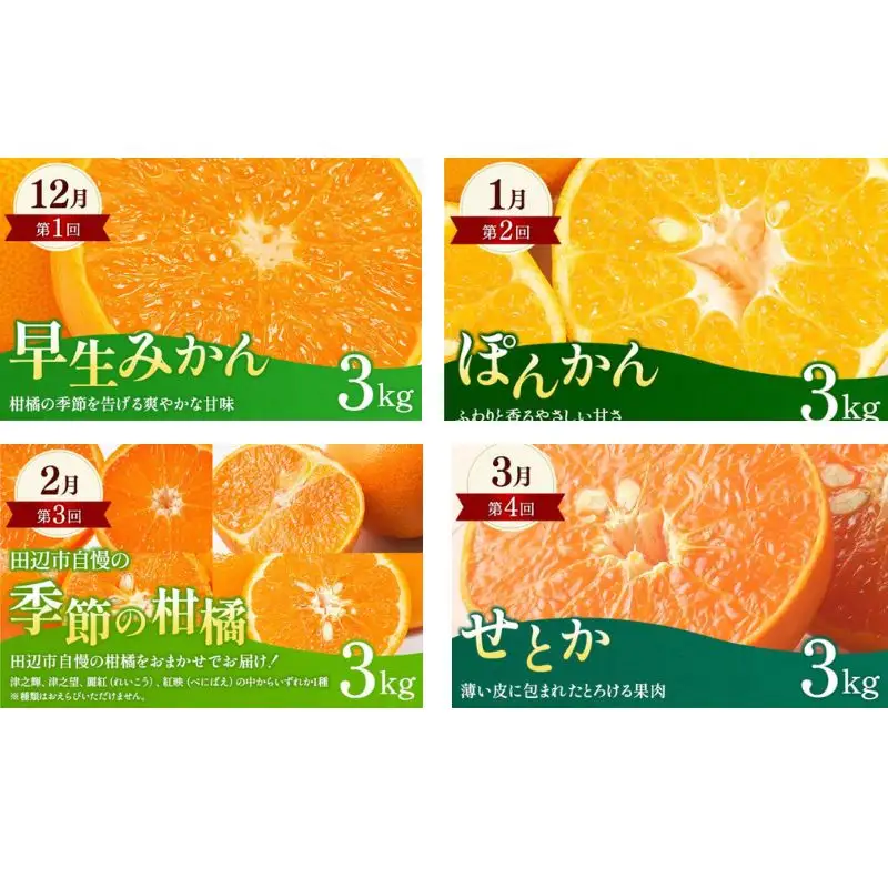 【全4回定期便】和歌山みかん満喫定期便 （早生みかん・ぽんかん・季節のお任せ柑橘・せとか各3kgずつ） ※2025年12月より4回お届け / みかん 定期便 柑橘 せとか フルーツ 早生みかん ミカン 和歌山 果物 田辺市 くだもの【tcs022-tk】