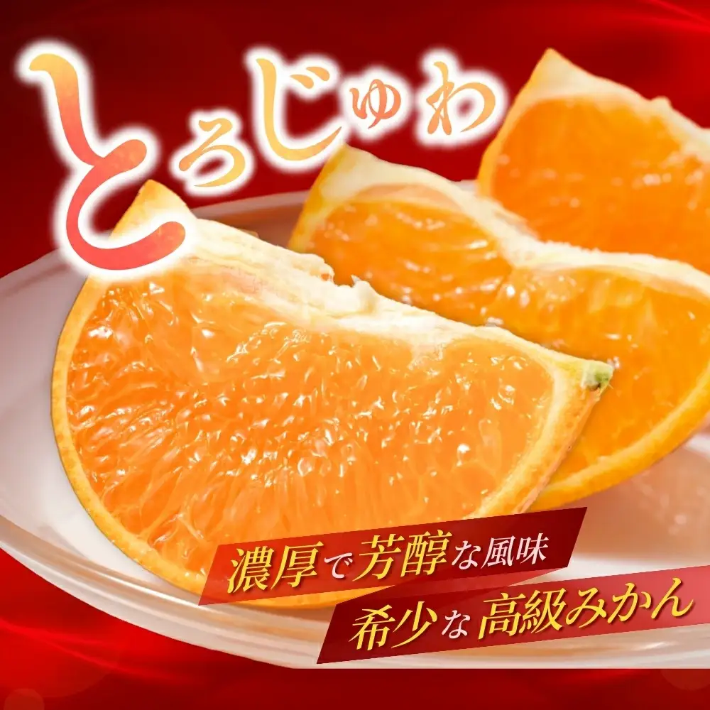 ＼数量限定／ 露地栽培のせとか 3kg / せとか 柑橘の大トロ 高級 ブランド 希少なせとか 品種 和歌山蜜柑 和歌山ミカン 高級みかん 人気みかん 果物 くだもの フルーツ 柑橘 蜜柑 産地直送 国産 和歌山 【tcs027-1】
