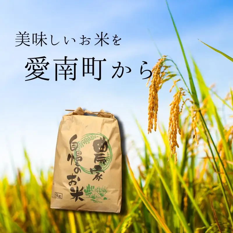 【先行予約】 令和8年度産 新米 ヒノヒカリ 5kg 愛媛県 愛南町 愛南町青果市場
