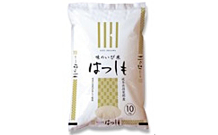 岐阜県揖斐郡産 味のいび米 はつしも 精米30kg お米 