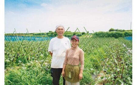 沢庵大樽 と キャベツ セット （ご入金締切2027年1月31日まで） M002-006 野菜 三浦野菜