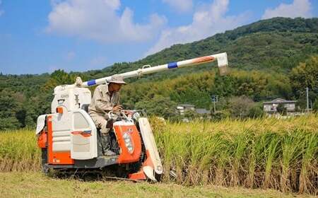 【令和8年産】なんかん棚田米 白米 10kg なんかんファーム 《10月中旬-12月末頃出荷》 熊本県 南関町 ヒノヒカリ 農家 単一原料米 棚田米 送料無料