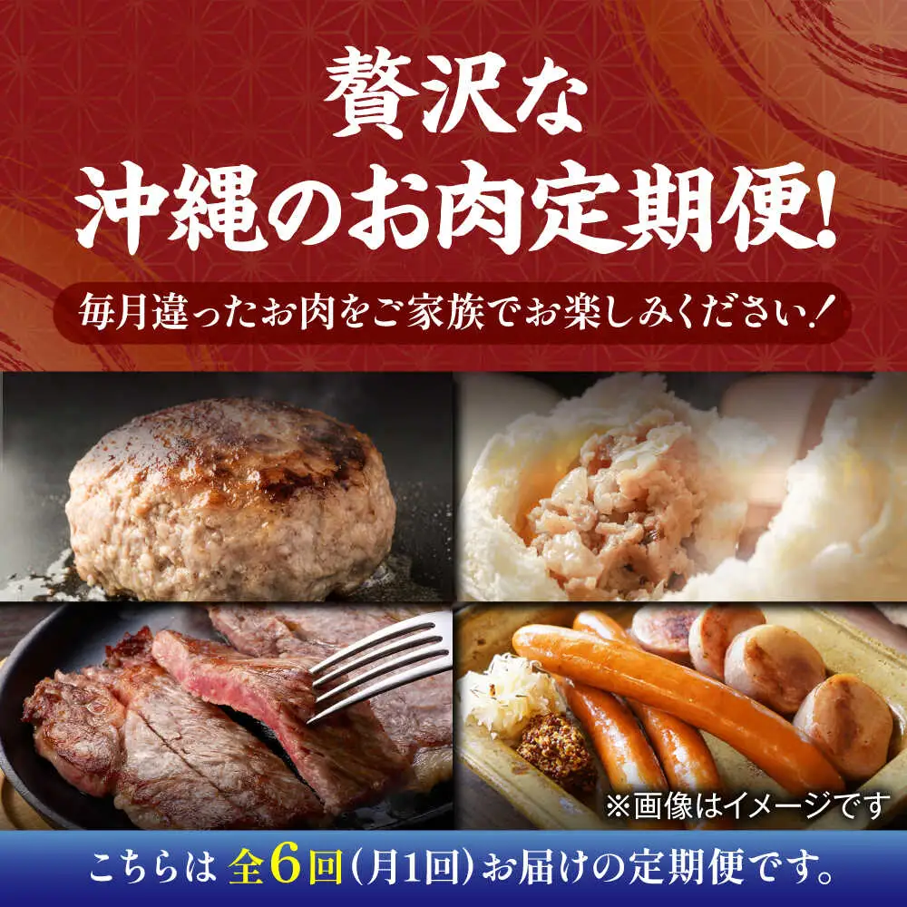 【全6回定期便】沖縄のお肉贅沢セット ハンバーグ あぐー 石垣牛 ステーキ 焼肉 冷凍
