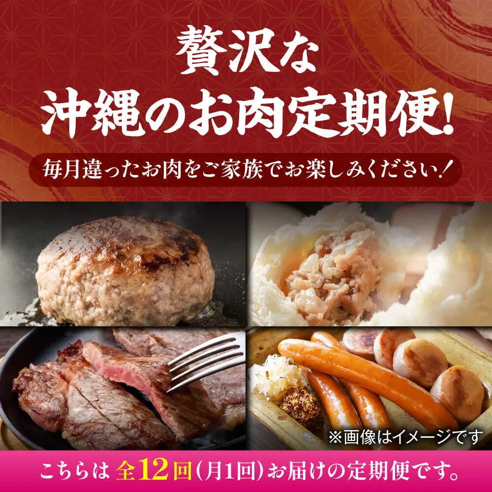 【全12回定期便】家族で満喫！沖縄のお肉贅沢セット【沖縄市】ハンバーグ あぐー 石垣牛 ステーキ 焼肉 冷凍 ギフト お取り寄せ 沖縄市 / お肉屋本店 / 豚々茶舗 / TESIO / 肉のサブロー[BCZZ035]