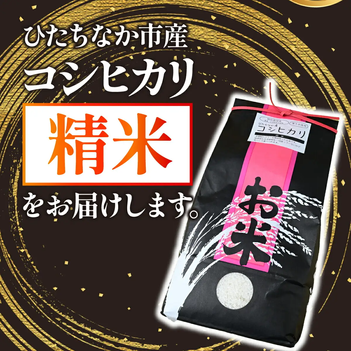 【特別栽培米】コシヒカリ　茨城県産　白米　約4.5kg【1663956】