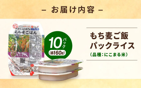 もち麦ごはん 10P BKAD006 パックごはん