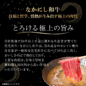 宮崎県西ノ原牧場・なかにし和牛赤身しゃぶしゃぶモモ 300g（国産 牛肉 肉 宮崎牛 黒毛和牛 お肉 しゃぶしゃぶ なかにし和牛 焼肉 人気 モモ 赤身)