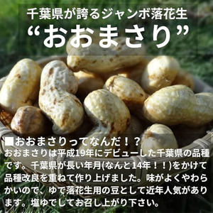先行予約】 おおまさり 約3kg 【落花生】｜千葉県旭市｜ポイント制