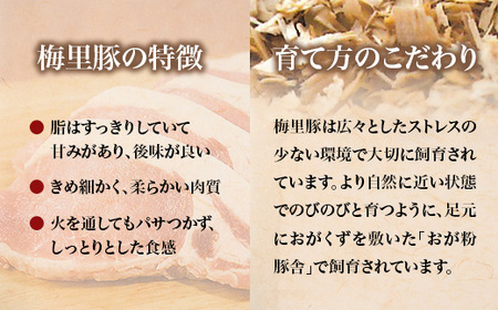 671 梅里豚 バラスライス 1kg(500g×2パック) 豚肉 国産 ブランド豚