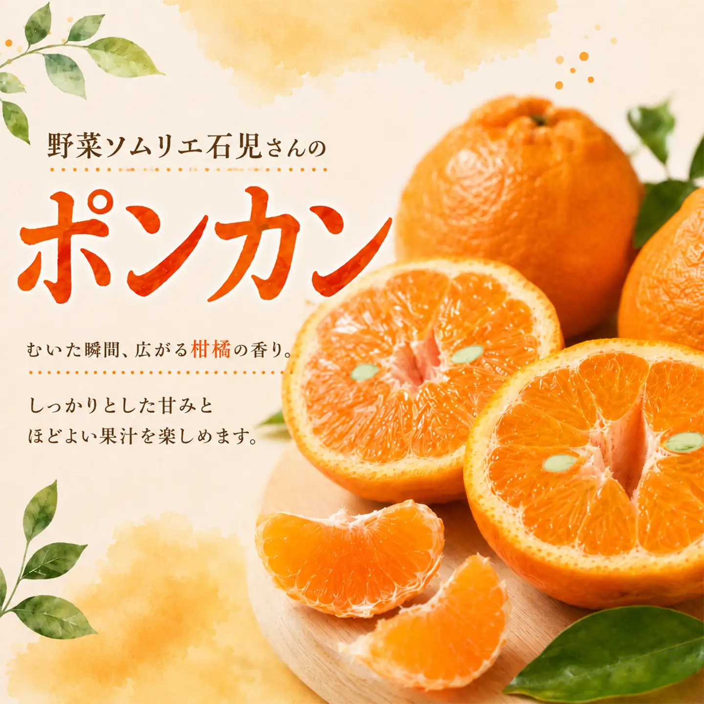 ポンカン 訳あり 10kg 規格外 ミカン 柑橘 2027年発送 先行予約 ／野菜ソムリエ石児さんの「ポンカン 10kg」＜103-010＞