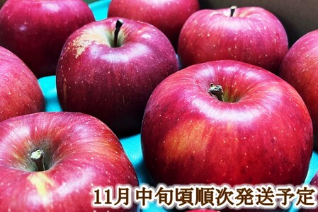 りんご 令和8年11月中旬発送 幻のりんご あいかの香り 約3キロ 信州が生んだ希少なりんごです【012-93】