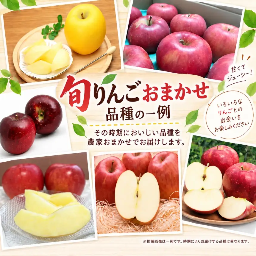 信州の旬のりんごおまかせ約5キロ【018-33】