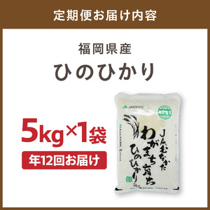 令和7年産 【定期便/年12回】「ひのひかり」5kg【ほたるの里】_HB0197