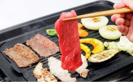 「いしかわ牛」又は「福島牛」 和牛モモ肉 800g  肉 牛肉 国産 和牛 黒毛和牛 牛もも肉 福島県 玉川村 FT18-199