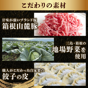 冷凍餃子 60個 餃子 箱根山麓 ギョーザ