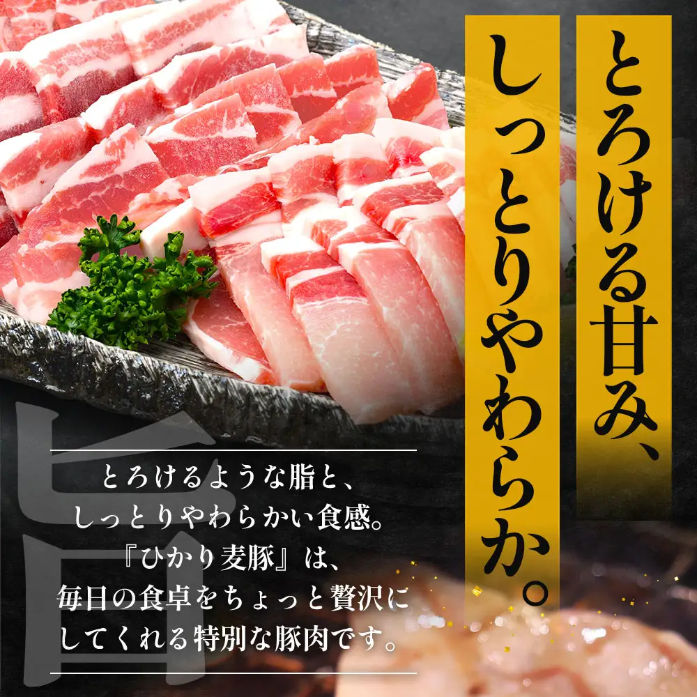 【定期便全3回】ひかり麦豚 わんぱく定期便 ≪月替わりで焼肉・ハンバーグ・餃子をお届け！≫ 冷凍 HM-10 | 肉 お肉 にく 豚肉 焼き肉 ロース肉 肩ロース バラ肉 ハンバーグ ギョウザ ぎょうざ 真空冷凍 産地直送 小分け パック 手作り 鹿児島県 南大隅町 ひかり麦豚直売所