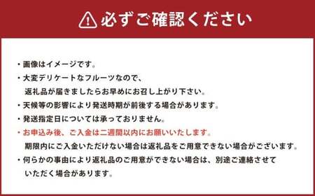 岡山県産 冬桃がたり 6個入り （合計約1.2kg）【2026年11月下旬～2027年1月上旬迄順次発送予定】 桃 もも モモ 果物 果実 フルーツ 希少 岡山県 倉敷市 冷蔵
