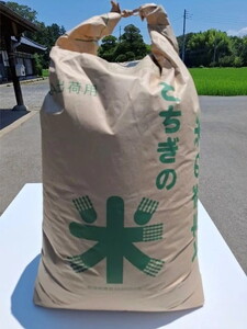 令和8年産新米 栃木県芳賀町産 コシヒカリ 白米 30kg｜米 お米 新米 白米 コメ こめ 国産 産地直送 旬 期間限定 季節限定 送料無料《2026年9月下旬-2027年1月下旬頃出荷予定》