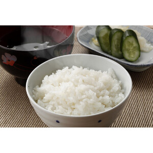 1096.【定期便全6回】【令和8年産新米産】【食味鑑定士厳選】 鳥取県産 コシヒカリ5kg (5kg×1袋) 合計 30kg