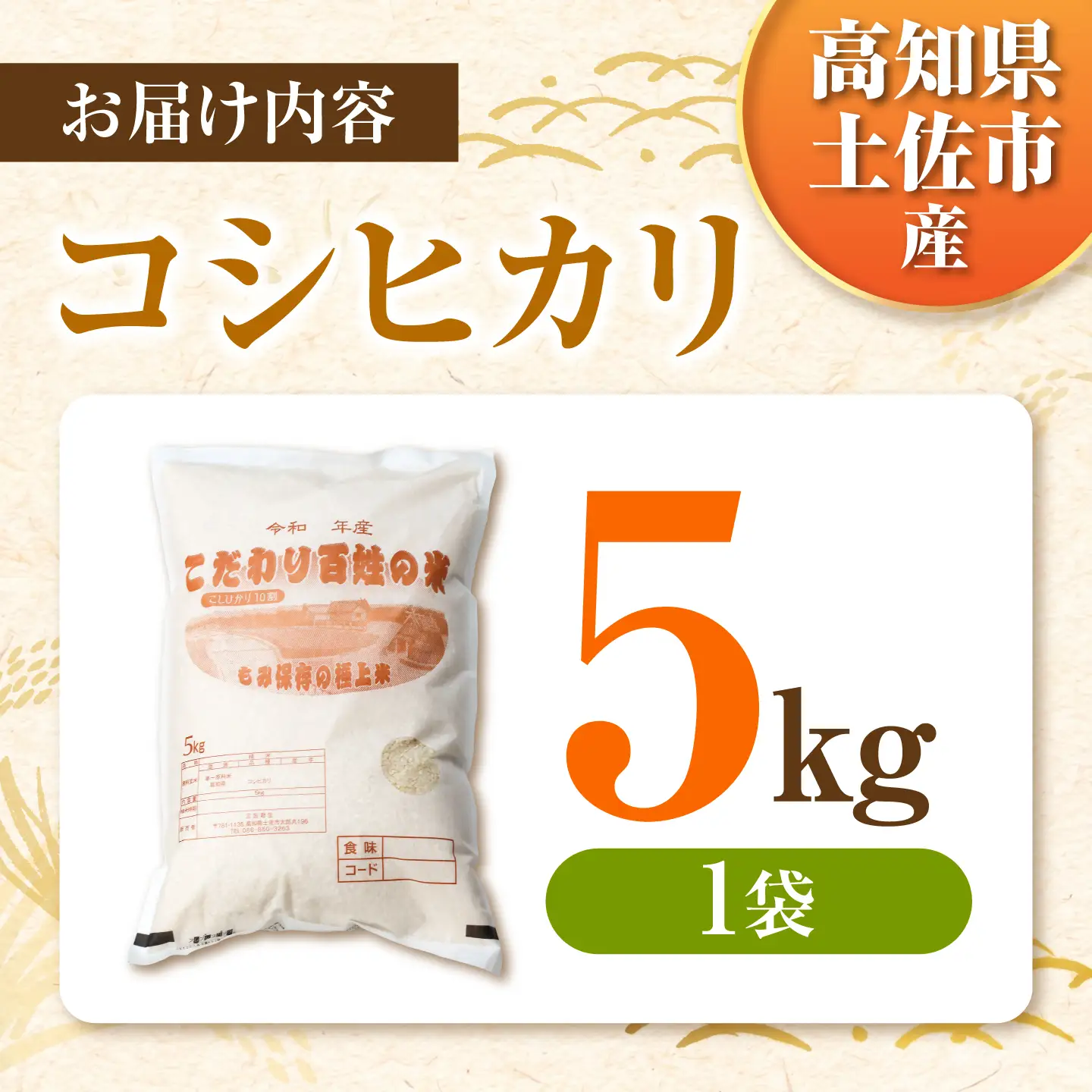 コシヒカリ 令和8年産 5kg 5キロ 精米 白米 お米 ご飯 ごはん 米 こめ こしひかり 高知県産 国産 お取り寄せ 常温 高知 土佐市 ふるさと納税【三宮 君生】 [BQCE001]