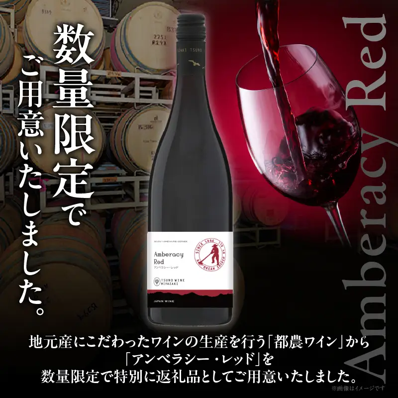 【数量限定】アンベラシー レッド(計1本) ワイン 酒 アルコール 国産_T014-0465