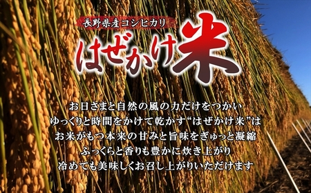 【令和7年産・白米１０kg（5kg×2袋）】長野県産こしひかり はぜかけ米（北海道・沖縄県・離島は配送不可）精米 産地直送 信州 長野県 佐久市 美味しいうるち米
