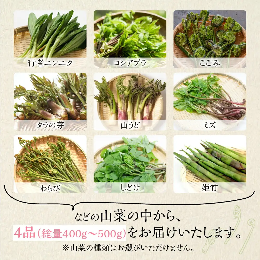山菜セット4品 (約400g～500g) / 山菜 旬 [Q2987]