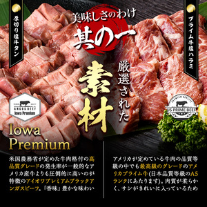 ＜定期便・全6回 (2か月ごとの発送)＞ 特選 牛タン ・ 牛ハラミ セット (総量4.8kg) 定期便 小分け 牛肉 肉 タン 牛たん ハラミ 牛はらみ 詰め合わせ 味付け 焼肉 塩 BBQ 冷凍 大分県 佐伯市【DH328】【ネクサ】
