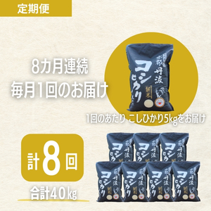 コシヒカリ 定期便8回 5kg 米 お米 コシヒカリ