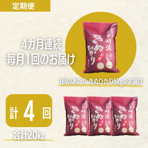 キヌヒカリ 定期便4回 5kg 米 お米 キヌヒカリ