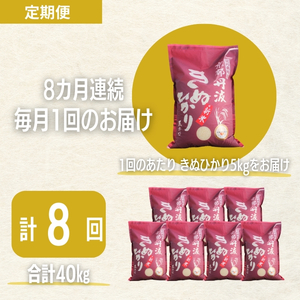 キヌヒカリ 定期便8回 5kg 米 お米 キヌヒカリ