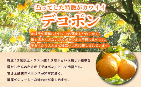 2027年 先行予約 デコポン 約3kg 不知火 デコポン