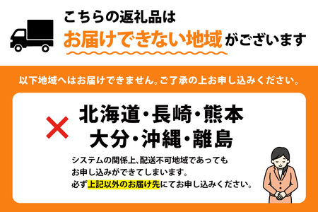 【期間限定発送】ぶどう エミー農園で作る 完熟ぶどう 2種食べ比べセット シャインマスカット ＆ BKシードレス 計 600g