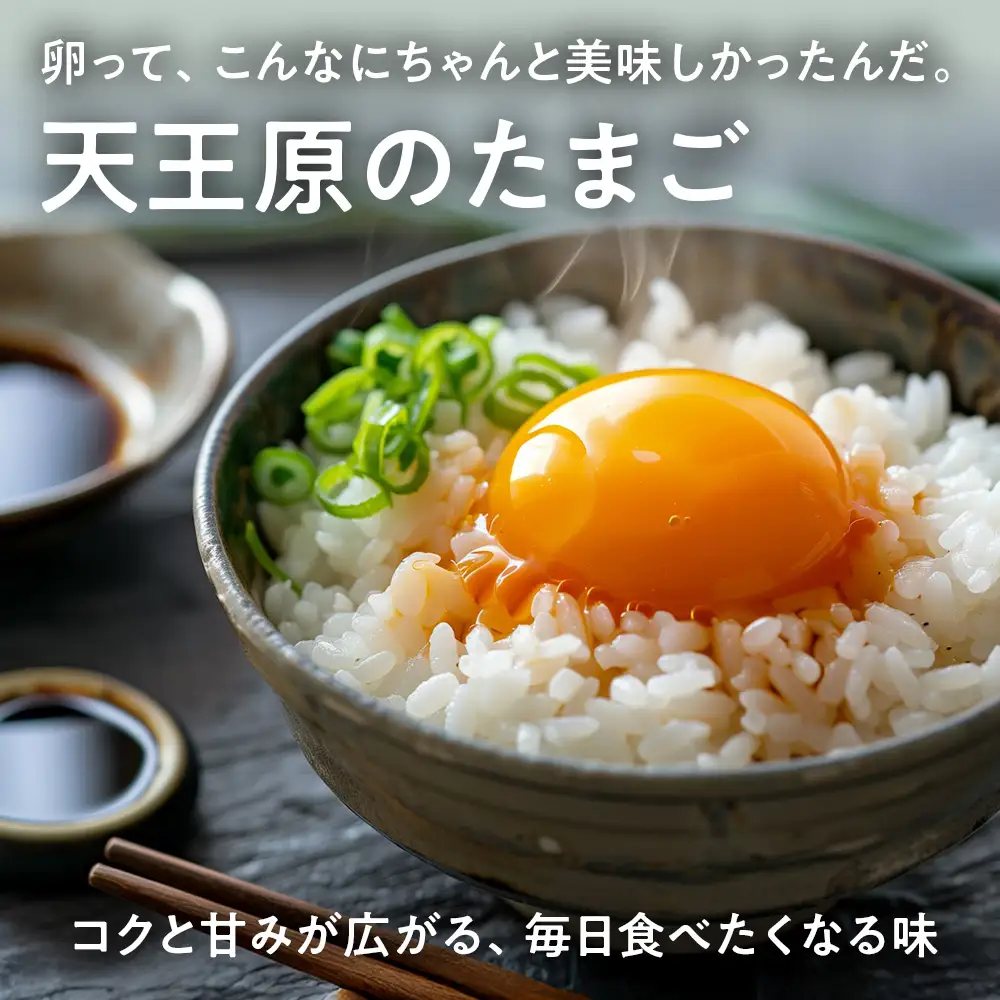 【定期便】4回定期【天王原のたまご】ロイヤル卵 30個入り