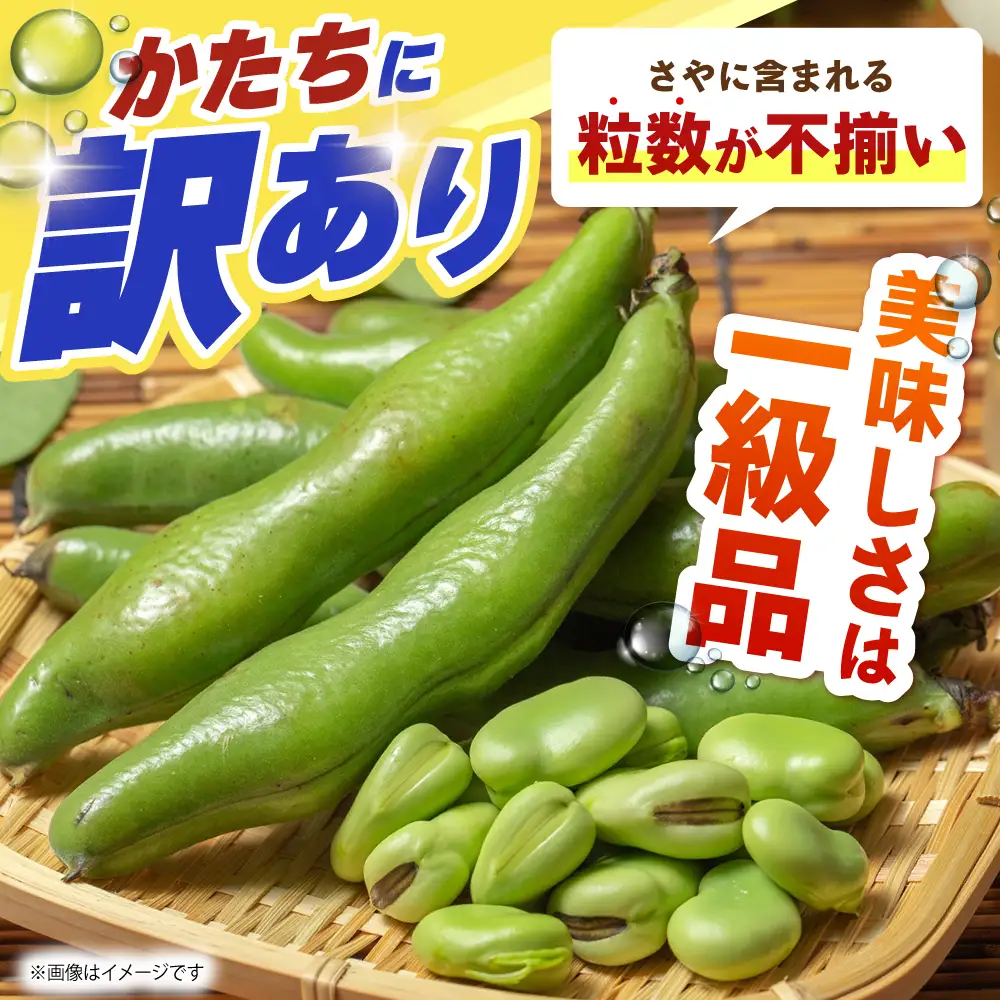 【朝採れ】 訳あり 生そら豆 2kg 【にしやまファーム】 新物 さや付き そら豆[HDI002]