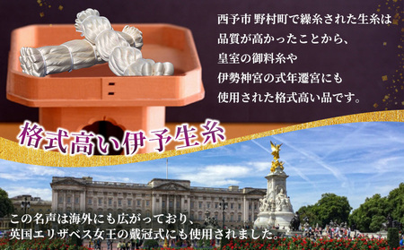 ＜伊予生糸（31デニール糸）約1kg＞ 国産 伊予生糸 いよいと 伊予 生糸 国産生糸 西予産 GI登録 絹糸 白生糸 日本製 生繰り式 国産繭使用 友禅染め 染色 手織り 組紐 糸 伝統工芸 愛媛県西予市蚕糸業振興協議会 西予市【常温】『1か月以内に順次出荷予定』NES0005