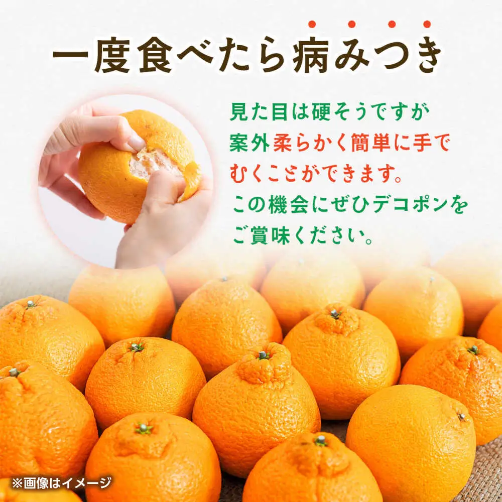 ハウスデコポン　約2kg 【くまふる】[ZBG081]