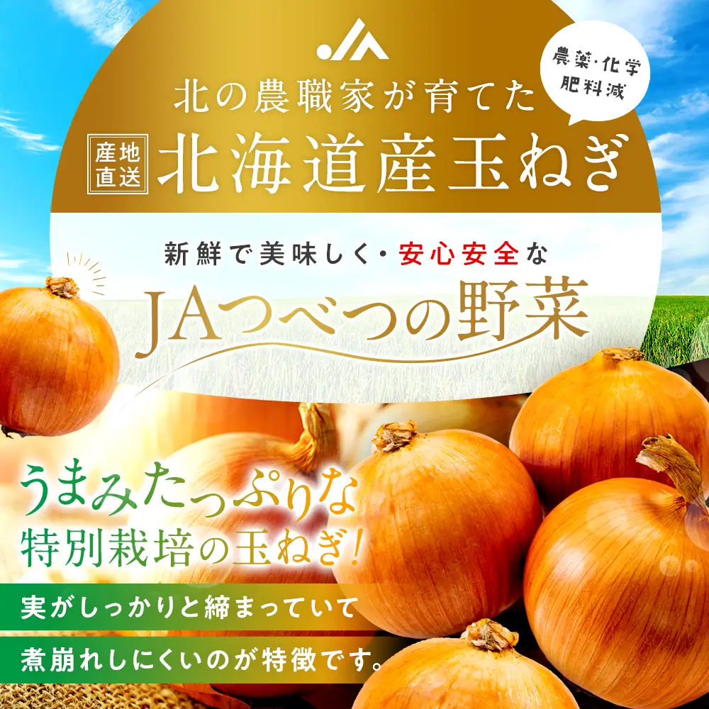 【訳あり】数量限定 特別栽培玉ねぎ M玉 10kg | 訳あり M玉 玉ねぎ たまねぎ タマネギ 玉葱 大容量 オニオン 甘い 減農薬 特別栽培 国産 カレー ハンバーグ 煮込み 炒め物 北海道 津別町 送料無料