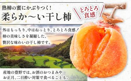 先行予約 干し柿 200g×4パック 合計800g 【2026年12月下旬から2027年2月下旬発送予定】