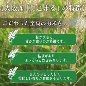 【先行予約】 【 令和8年度産 】 お米 5kg にこまる 米
