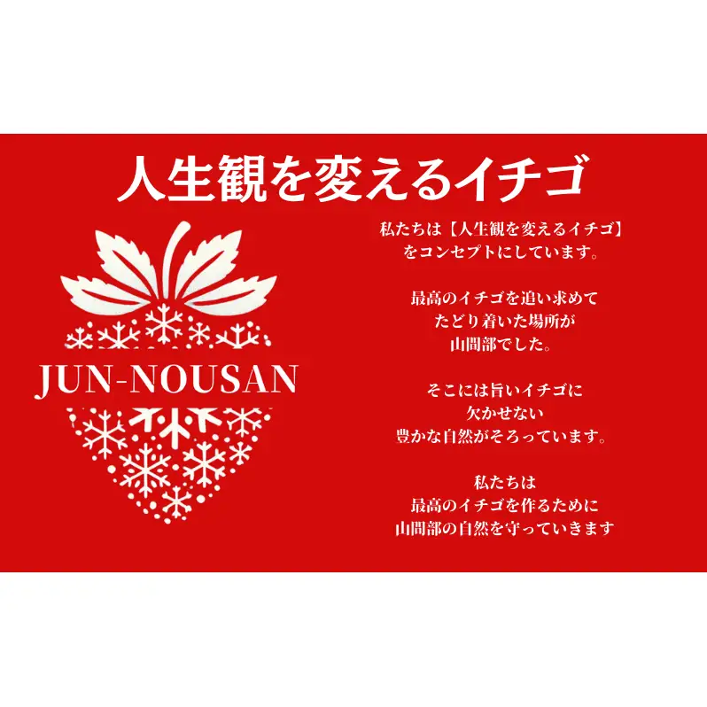 いちご 先行予約 女神の雫 450g 2027年 いちご