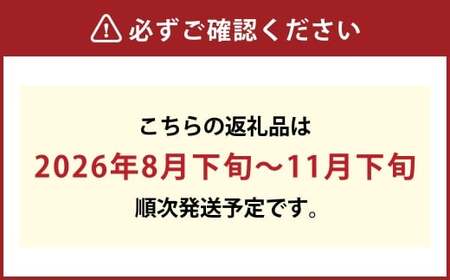 ご家庭用 シャインマスカット 晴王 3～6房 計約1.5kg【2026年8月下旬～11月下旬まで順次発送予定】 マスカット 葡萄 ぶどう ブドウ 果物 フルーツ 岡山県 倉敷市