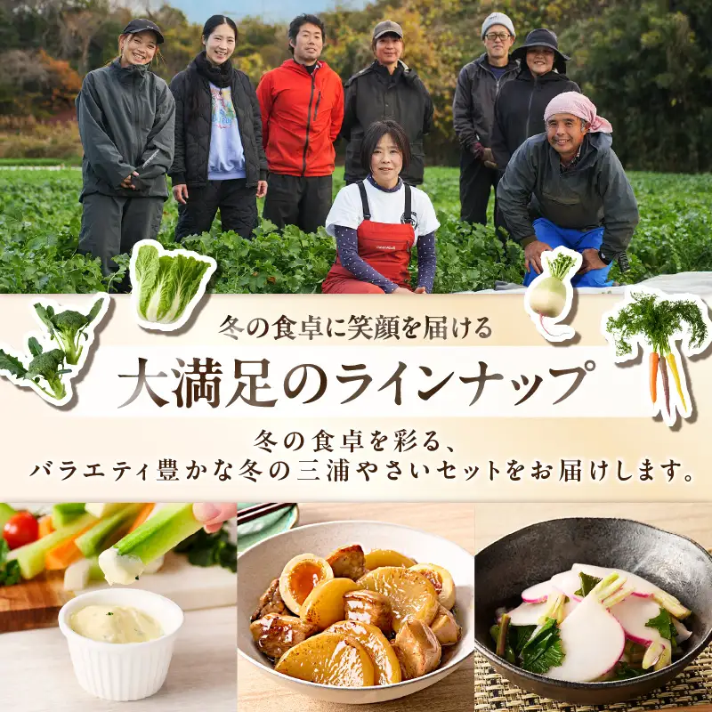 ボリューム 満点 ！ 季節の野菜 詰め合わせ（ 冬 ） M001-004-02 野菜 三浦野菜 先行予約