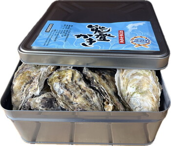 能登かき　殻付き小缶(加熱用)  | 牡蠣 魚介類 訳あり 生活応援価格 ご家庭用 石川県 七尾市 復興支援 ※2027年1月～発送