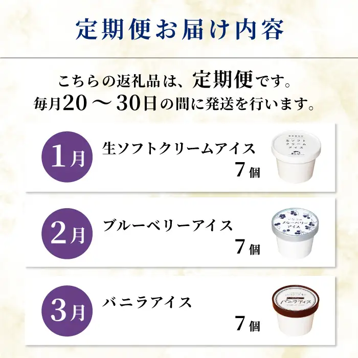 全3回★3種類のアイス定期便☆2027年1月発送～ 南信州根羽村産アイス が毎月7個届く！ 合計21個 アイス アイスクリーム 定期便 生ソフトクリームアイス バニラアイス ブルーベリー 果物 ジャム 長野県 根羽村 ソフトクリーム スイーツ
