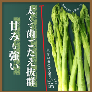 さぬきのめざめ　1kg