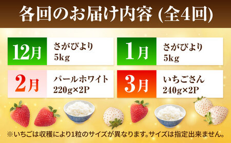 【先行予約 2026年12月～発送】【4回定期便】いちごとお米の贅沢定期便(1)  いちご IBG019